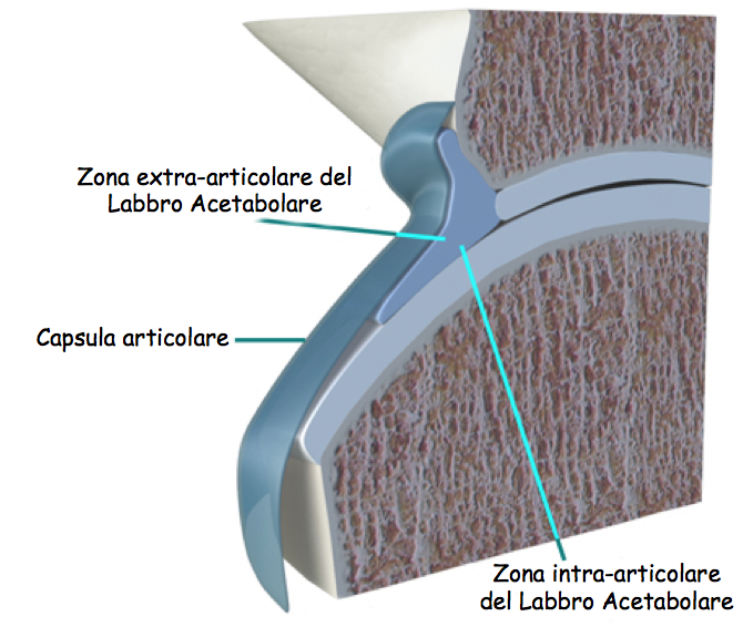 labbr acet9