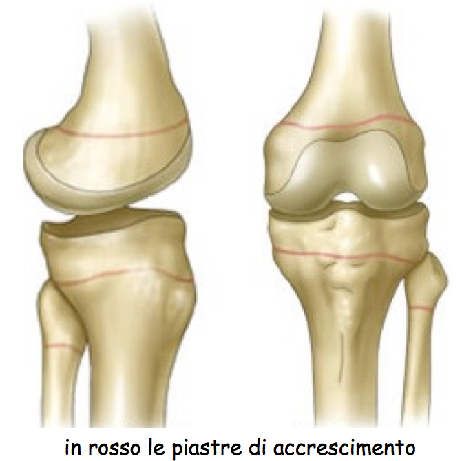 piastre di accrescimento